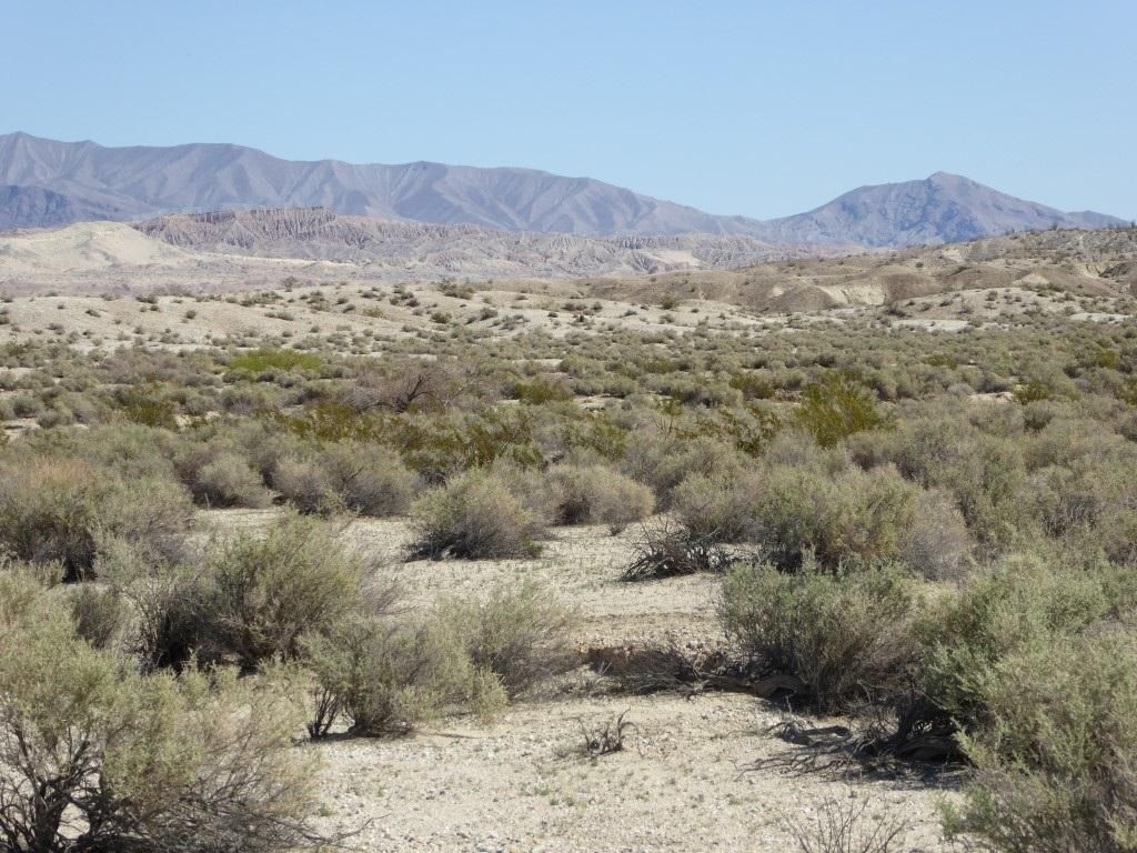 20 Acres, 21 Borrego Springs Road, Borrego Springs, CA 92004 Land and