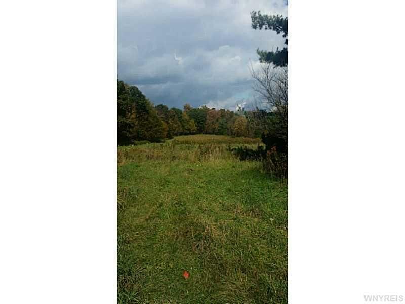 143 Acres, 0 State Route 417 East, Bolivar, NY 14715 Land and Farm