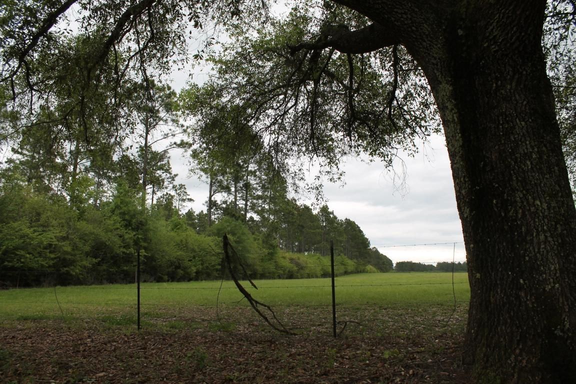 475 Acres, 475 Acres Bear Bay Flats Road, Paxton, FL 32538 Land and Farm