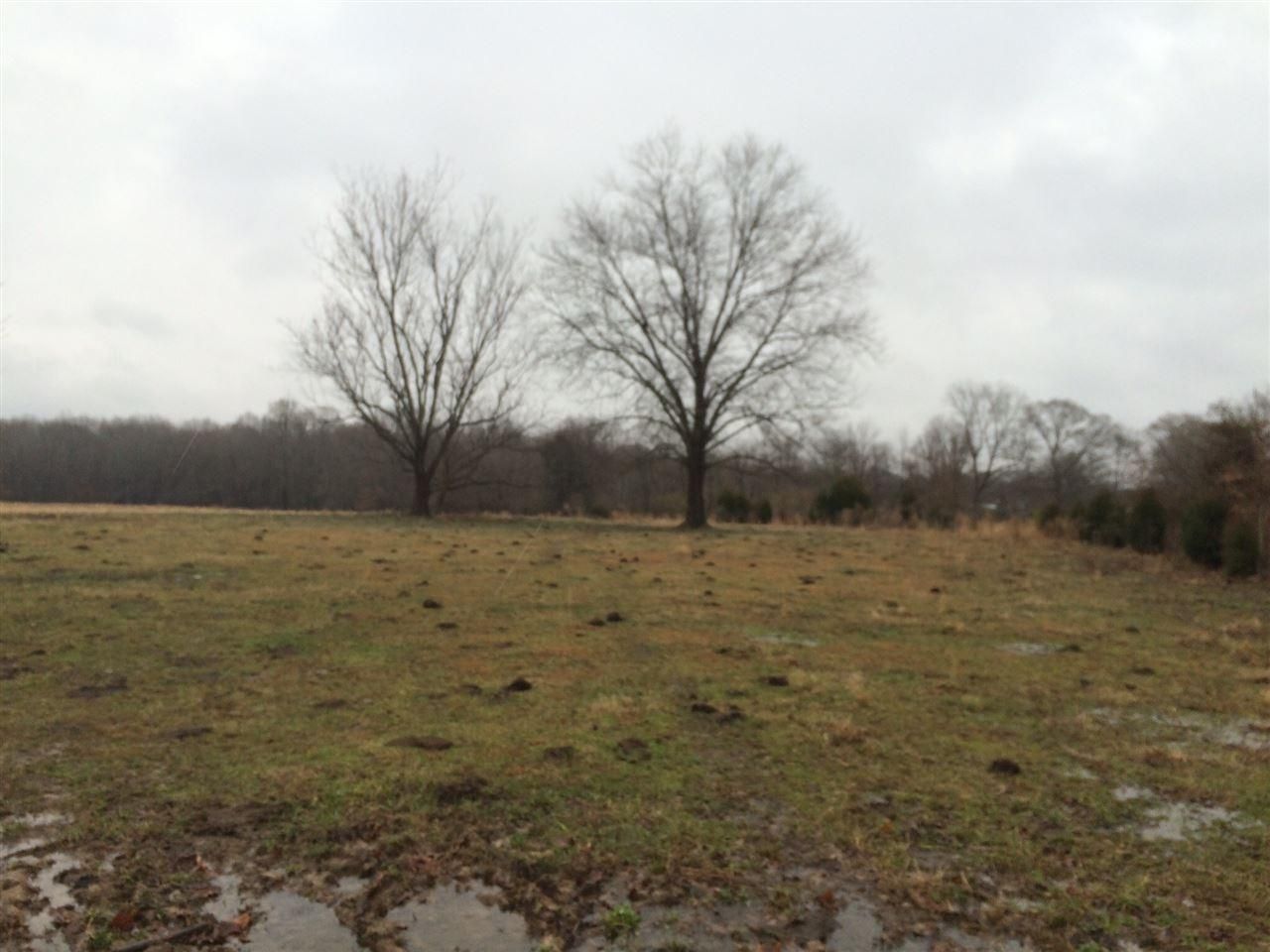 290 Acres, HWY 72 E HWY, Michigan City, MS 38647 Land and Farm