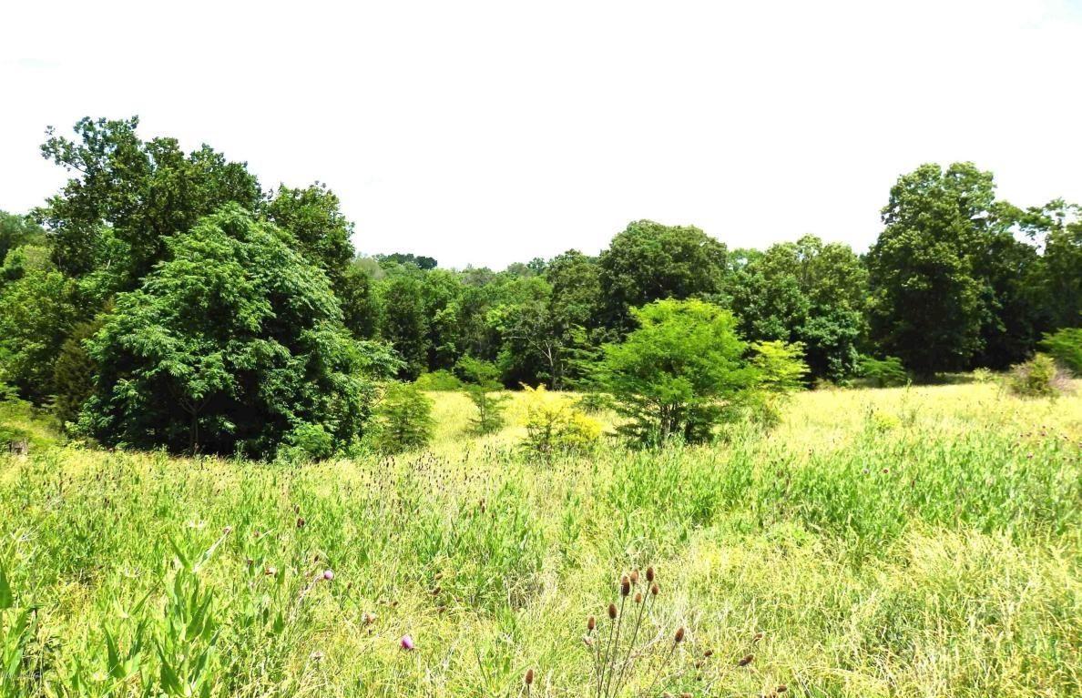 68.68 Acres, 0 Buck Creek Rd, Campbellsburg, KY 40011 Land and Farm