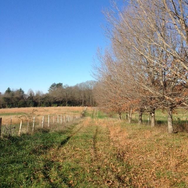 8 Acres, 11521 Hwy 56, Enoree, SC 29335 Land and Farm