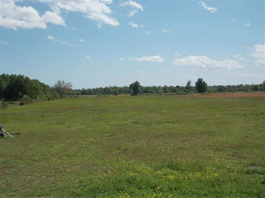 36 Acres, Rt 61 Hwy H box 3910, Naylor, MO 63953 Land and Farm