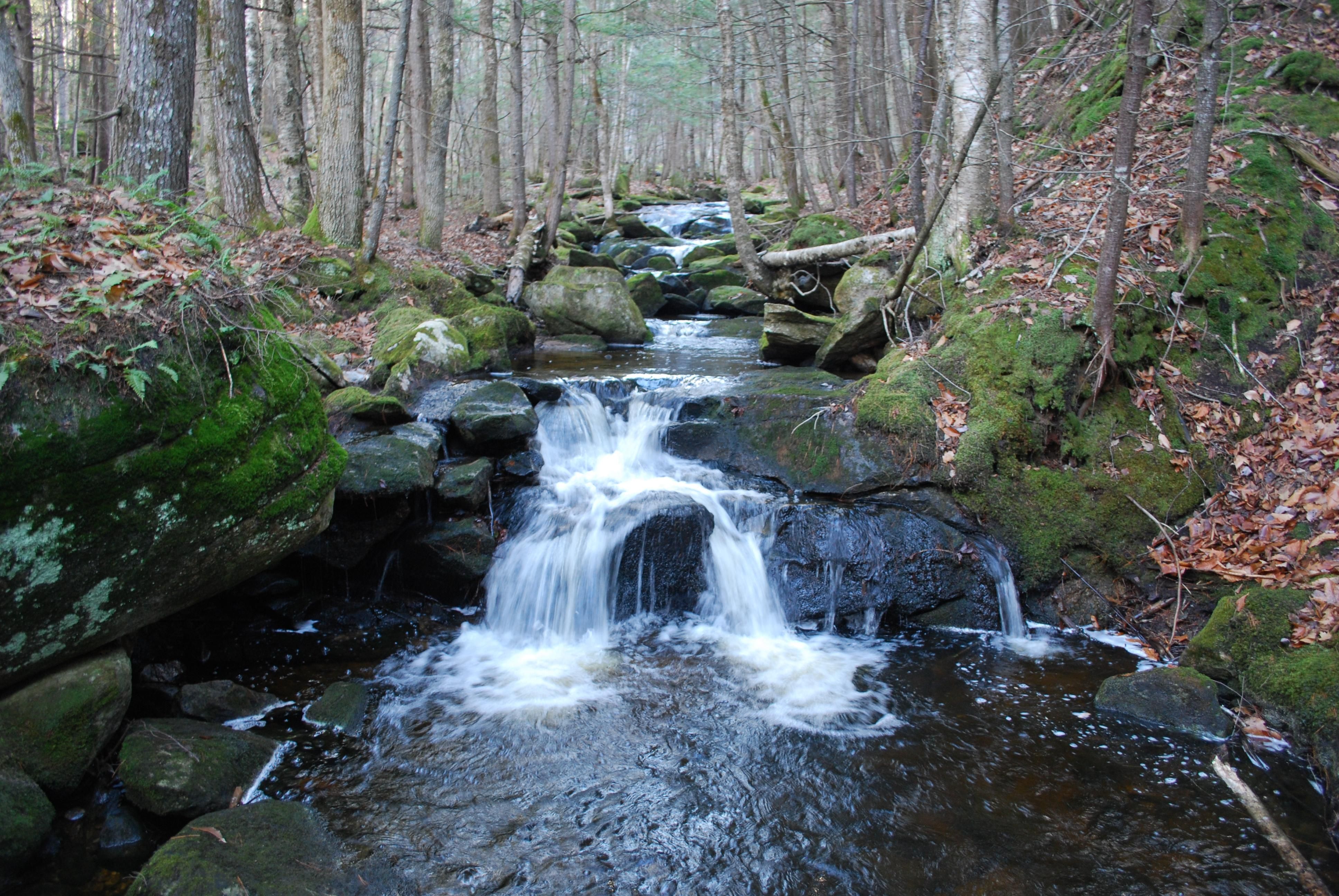 66 Acres, Valley Road, Waterford, ME 04088 Land and Farm