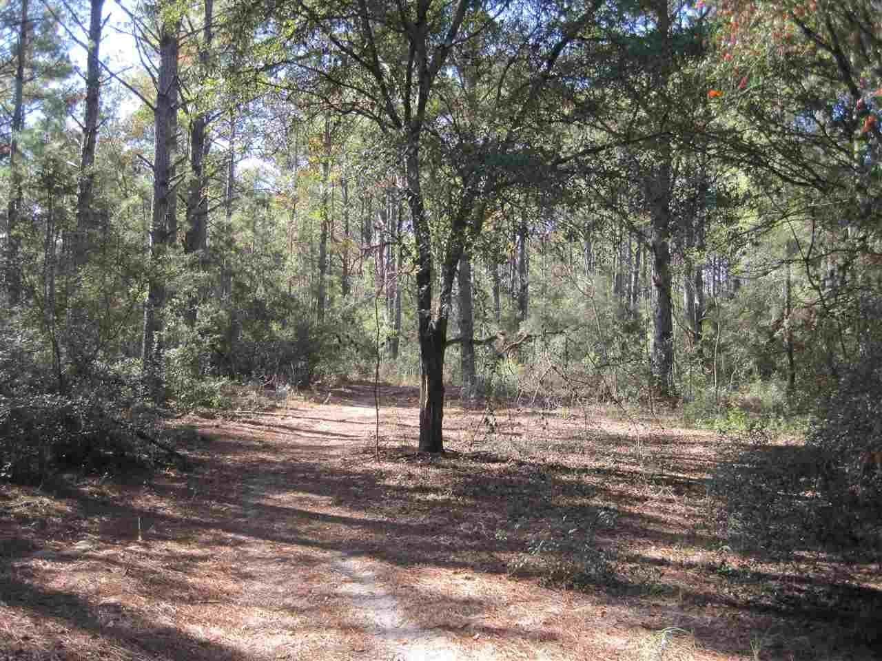 13 Acres, 2 Lots Crawfordville Hwy & Trumpet Lane, Crawfordville, FL