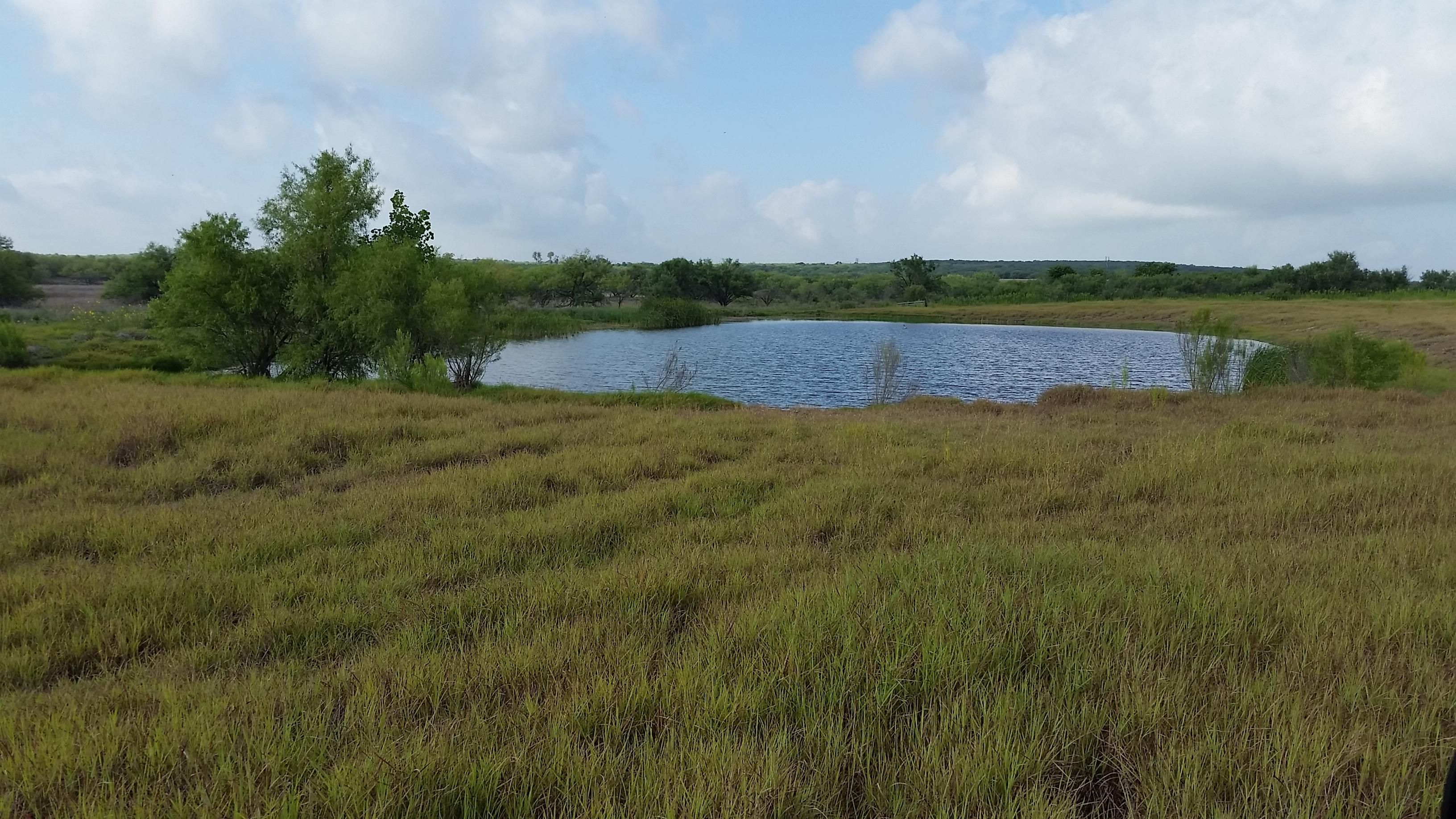 86.73 Acres, Maxwell, TX 78656 Land and Farm