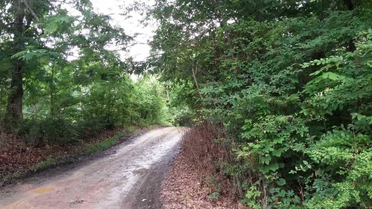 48 Acres, 48 AC Greene Rd 464, Lafe, AR 72436 Land and Farm