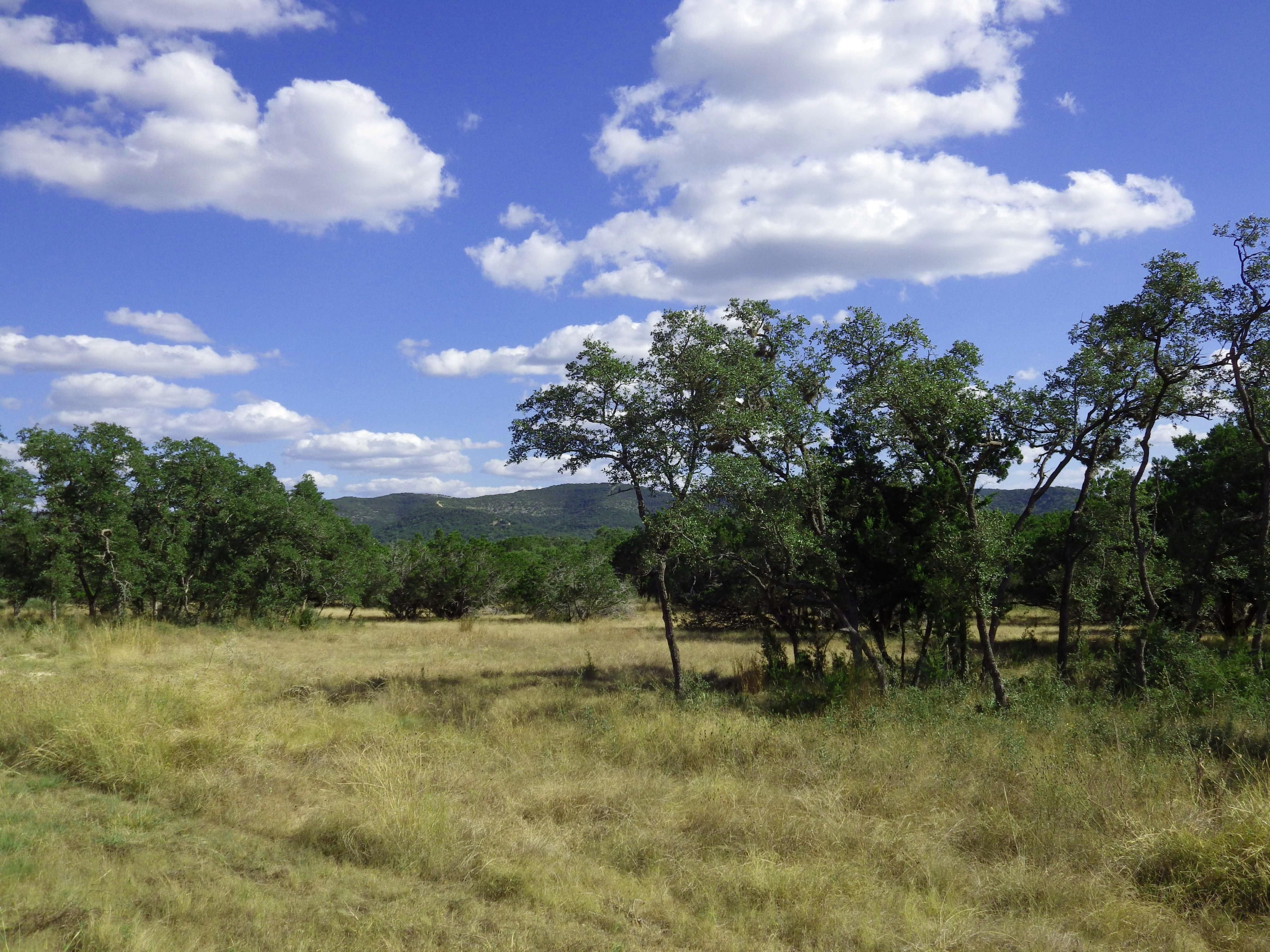 5 Acres, 307 The Ridge Spur, Rio Frio, TX 78879 Land and Farm