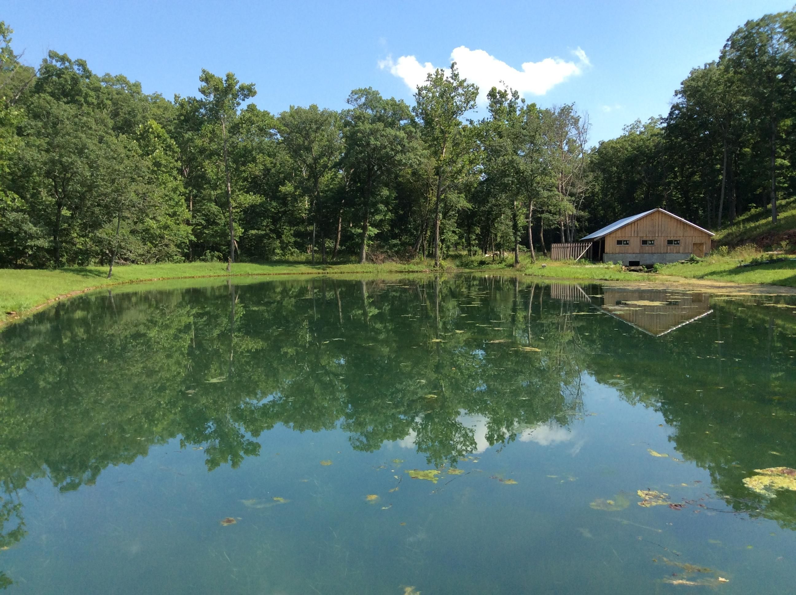 142 Sig Bass, Cherryville, MO 65446 Land and Farm