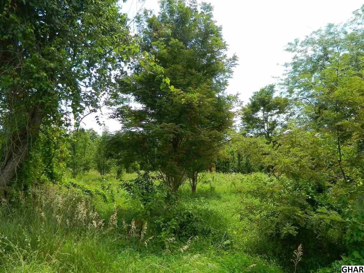 3 Acres, 888 Siddonsburg Rd., Lewisberry, PA 17339 Land and Farm