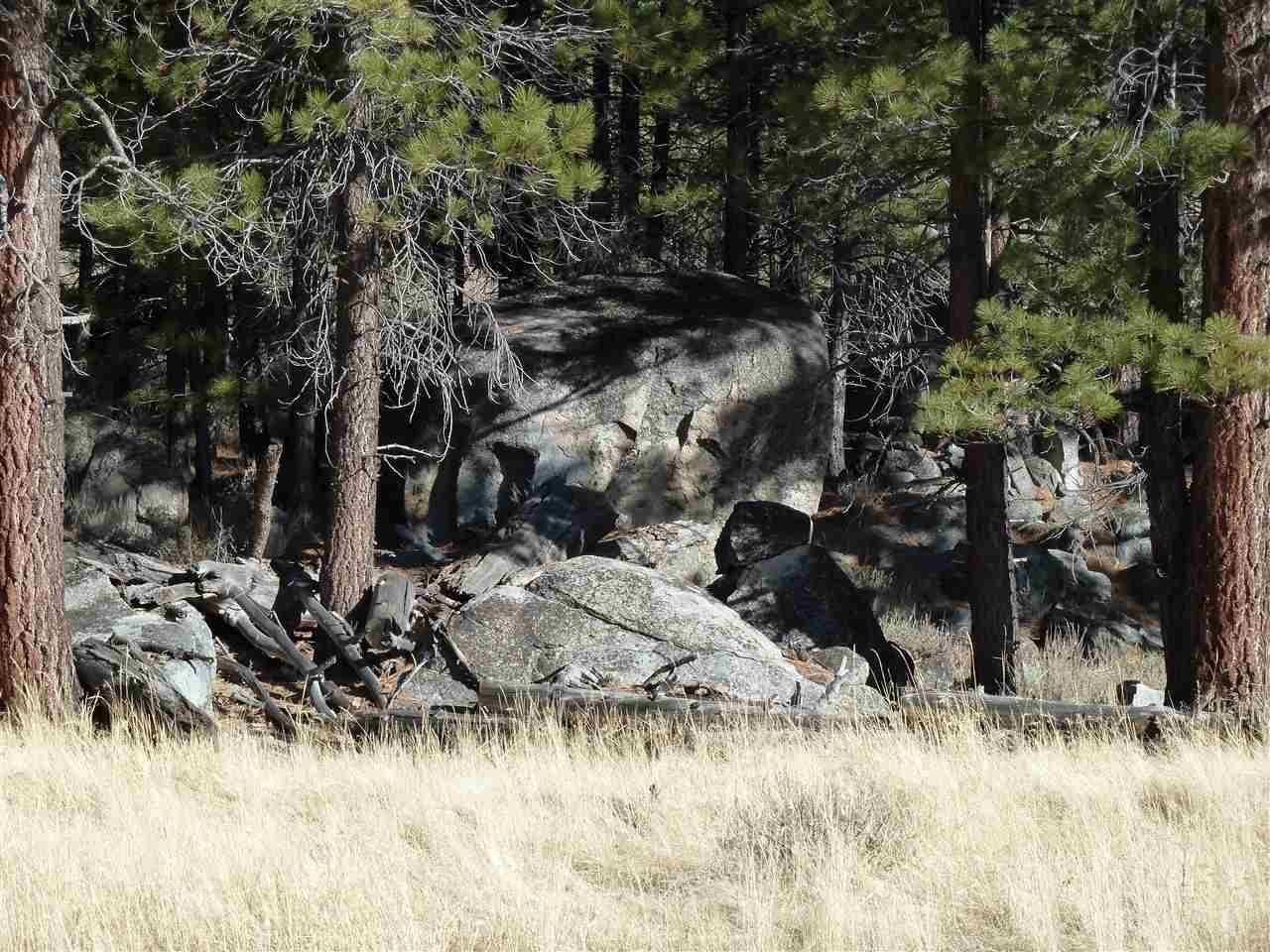 41.05 Acres, 10202 Frenchman Boulevard, Chilcoot, CA 96105 Land and Farm