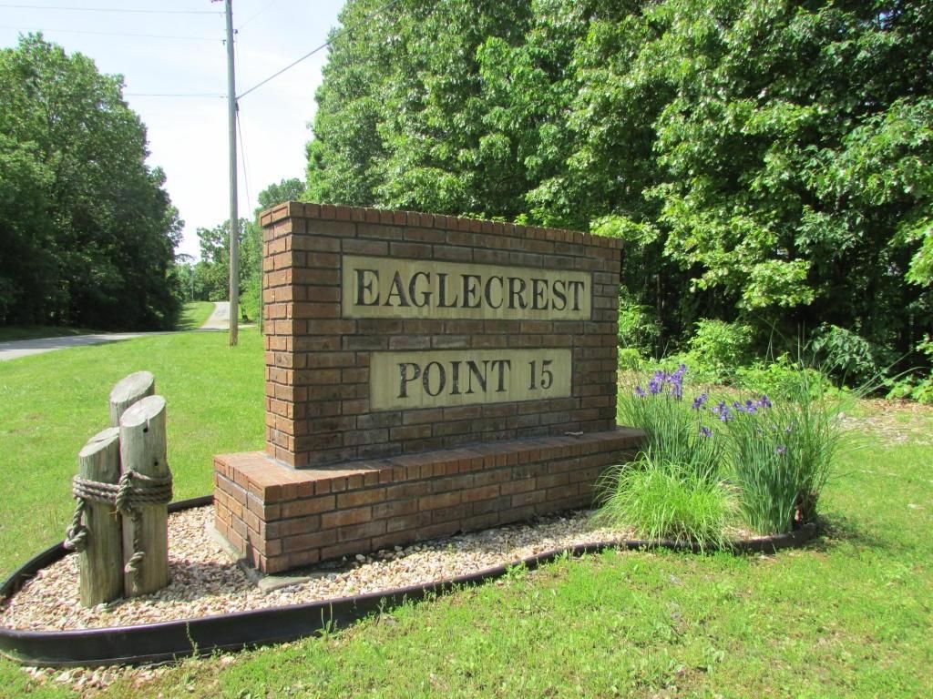 9.2 Acres, Lot 31 Eagle Crest Drive, Cape Fair, MO 65624 Land and Farm