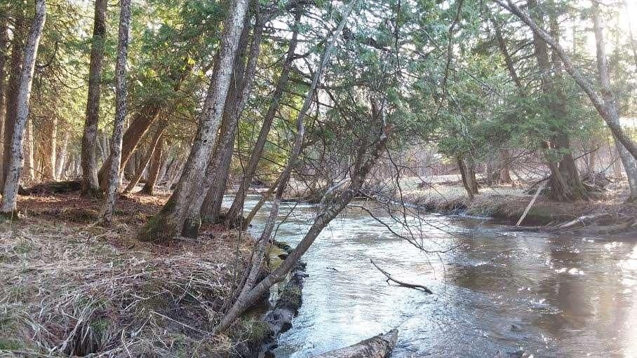 10 Acres, 0 210th Ave, Tustin, MI 49688 Land and Farm