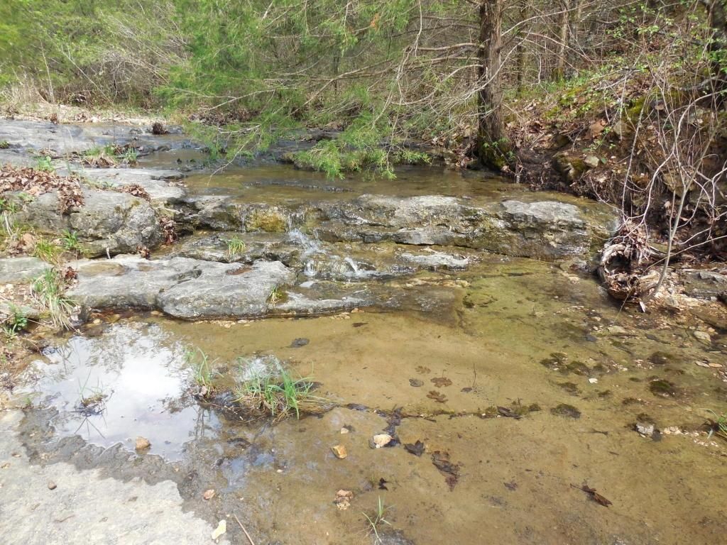 20 Acres, Walnut Shade, MO 65771 Land and Farm