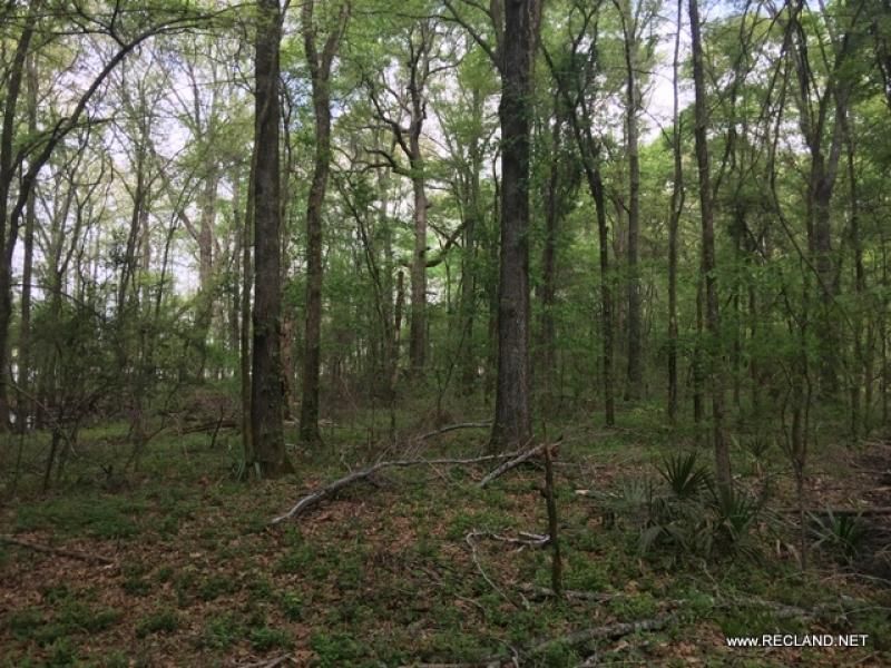 45 Acres, Mer Rouge, LA 71261 Land and Farm