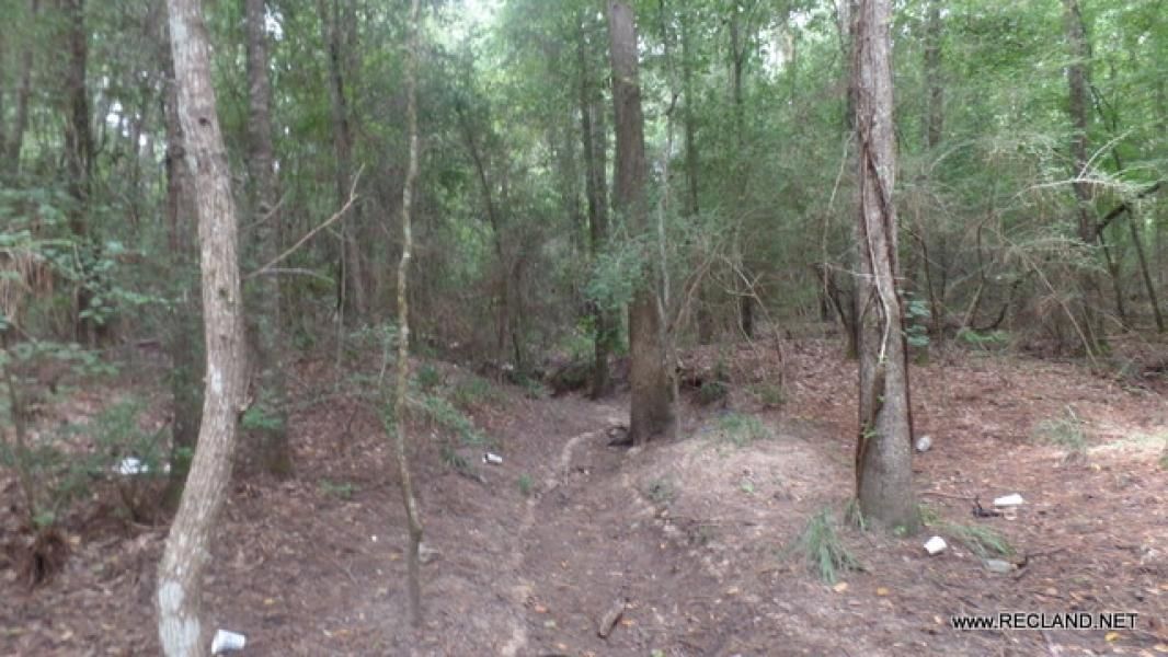 23 Acres, Newton, TX 75951 Land and Farm