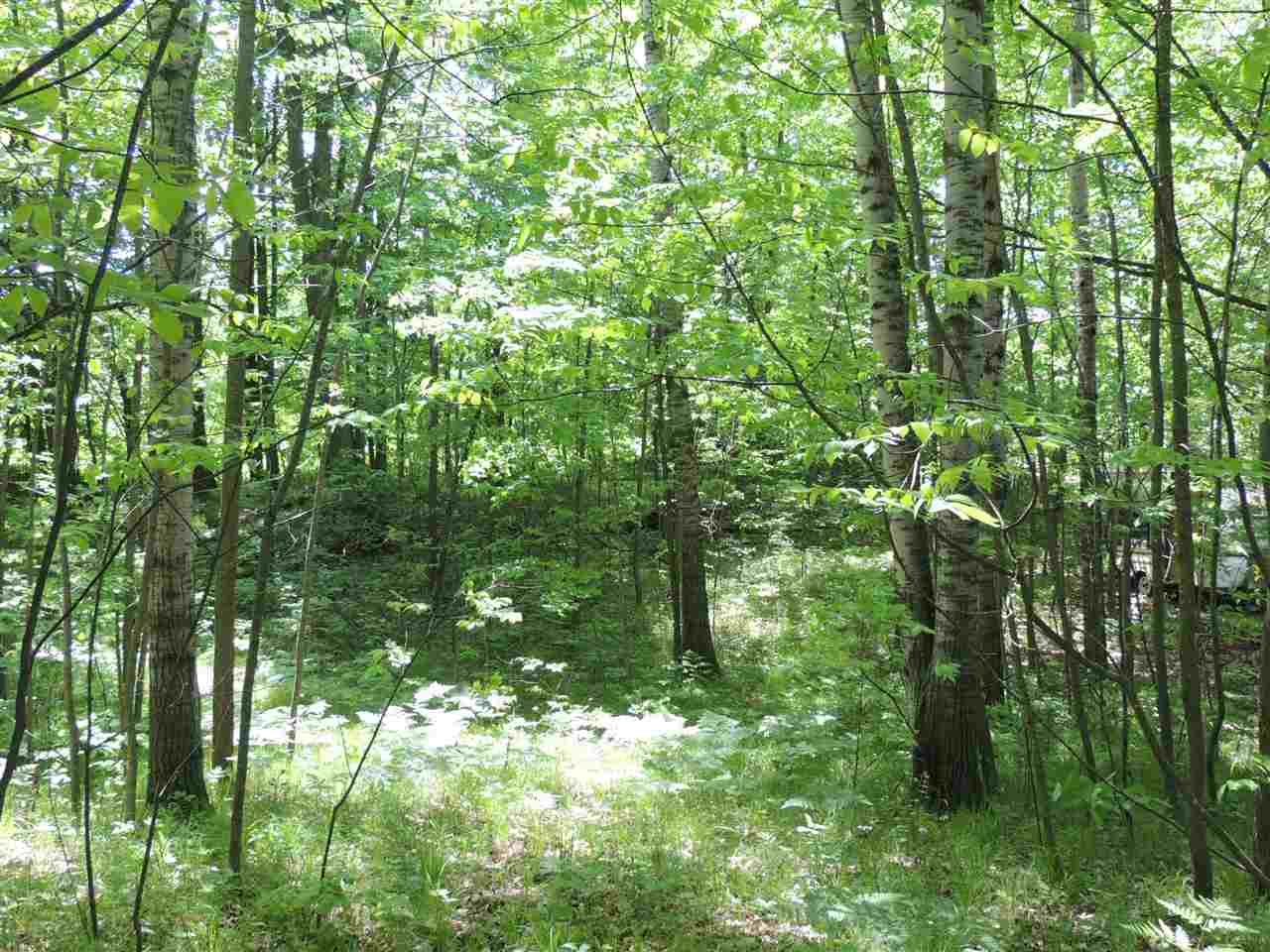 1 Acres, DEER LAKE Road, Middle Inlet, WI 54104 Land and Farm