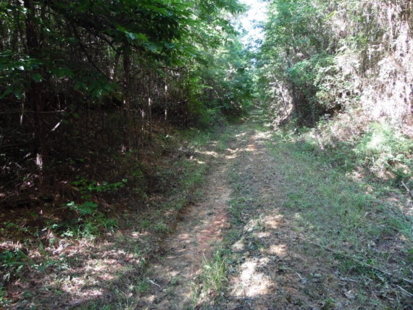 200 Acres, SCR 541C, Raleigh, MS 39074 Land and Farm