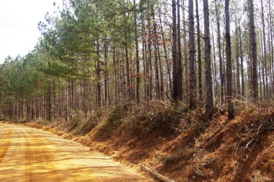 3.7 Acres, Grange Hall Road, Magnolia, MS 39652 Land and Farm