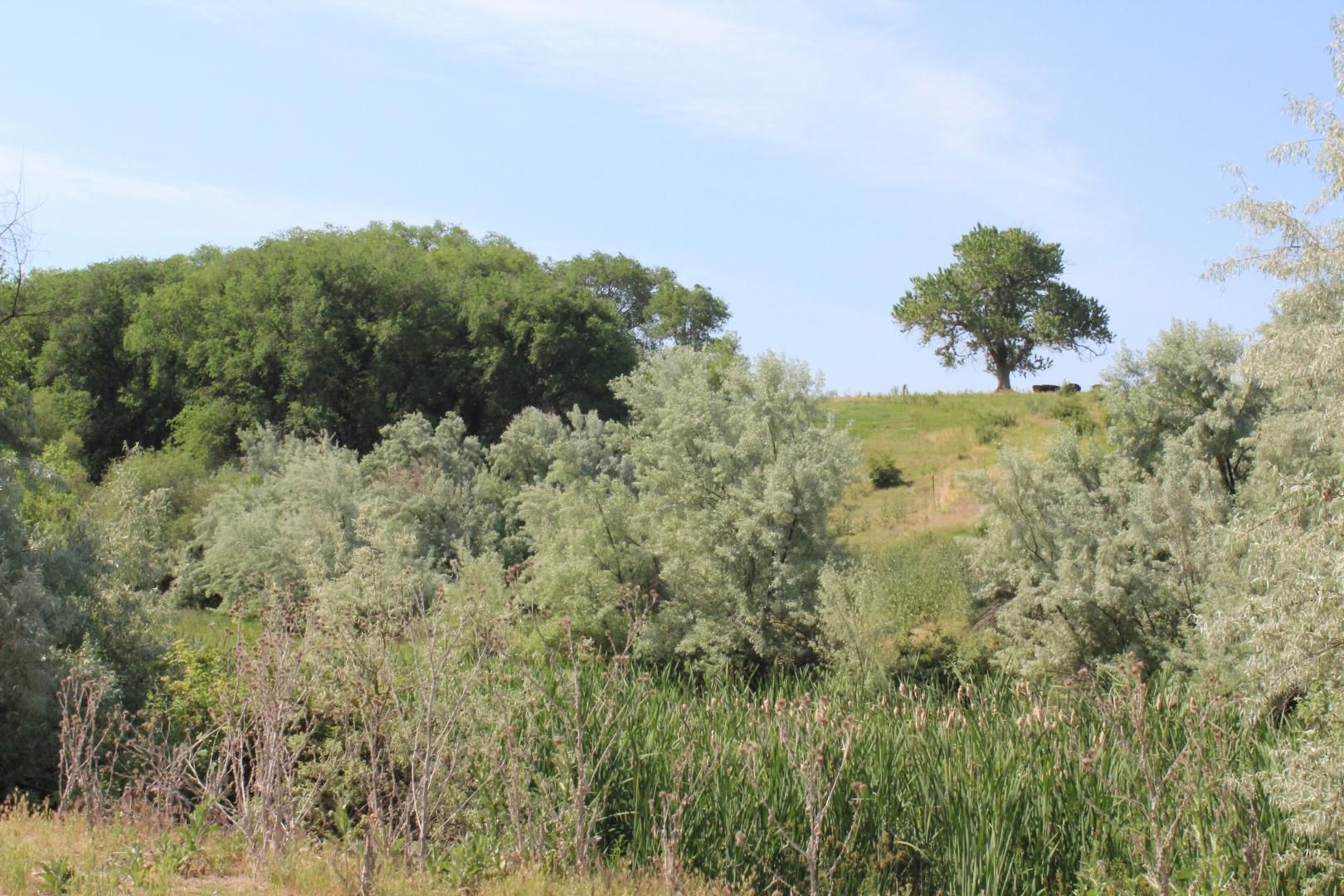 3174 Grey Blvd, Nyssa, OR 97913 Land and Farm