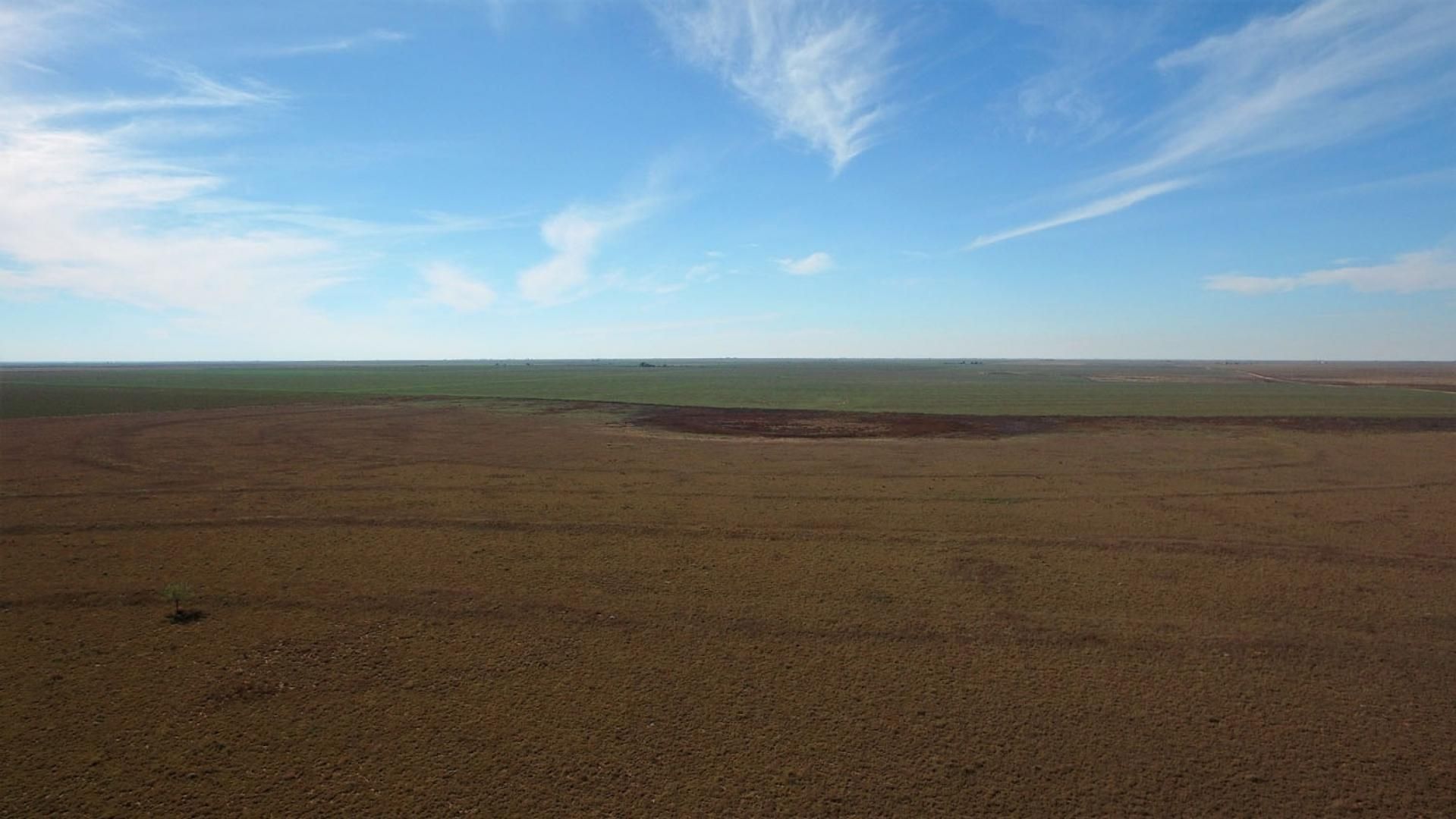 240 acres in Sudan, TX, 79371 Land and Farm