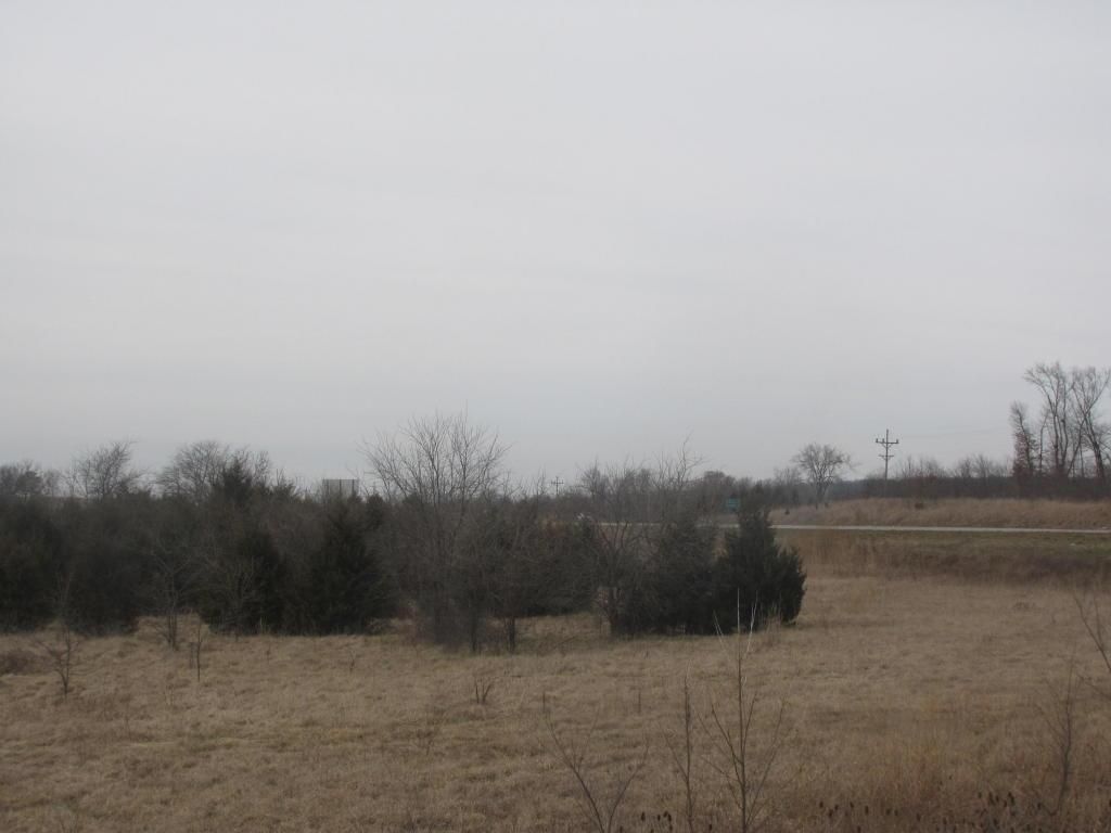 53.42 Acres, 0 Hwy 13, Humansville, MO 65674 Land and Farm