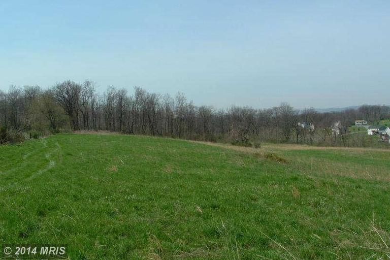 19.2 Acres, HAMMONDS MILL ROAD, Falling Waters, WV 25419 Land and Farm