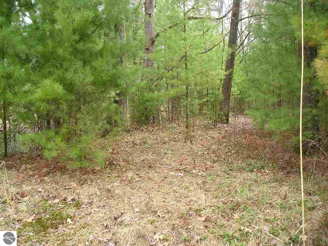 20 Acres, 0 M65, Hale, MI 48739 Land and Farm