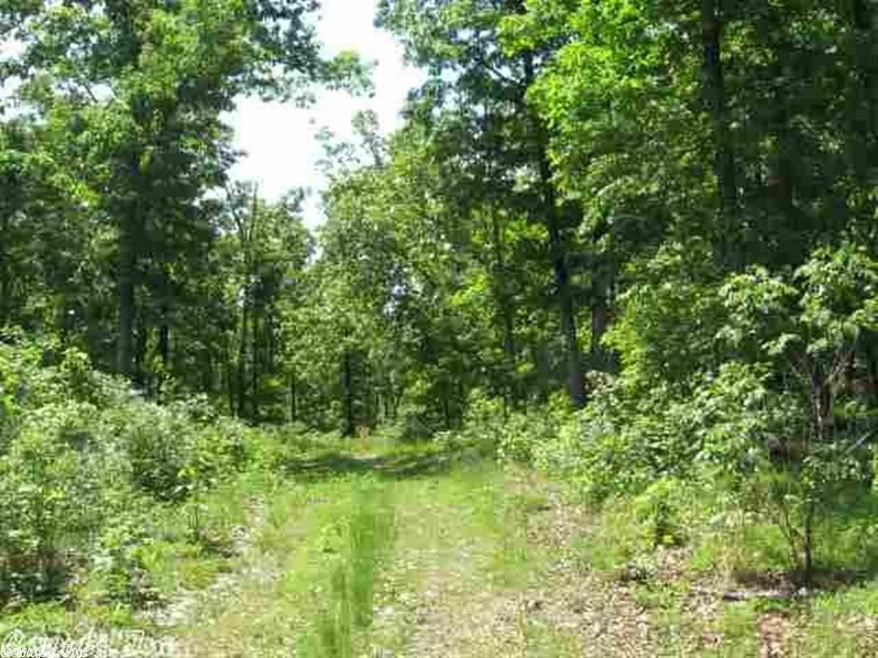 482 Acres, Ravenden, AR 72459 Land and Farm
