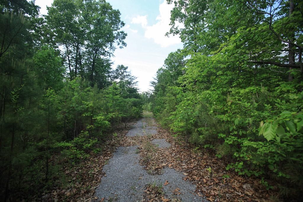 112 Acres, CR 1 & Tim King Rd, Allgood, AL 35121 Land and Farm