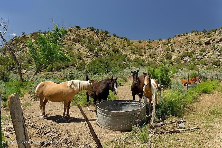 0 Rifle Creek Road Rifle Colorado 81650, Rifle, CO 81650 MLS 137335