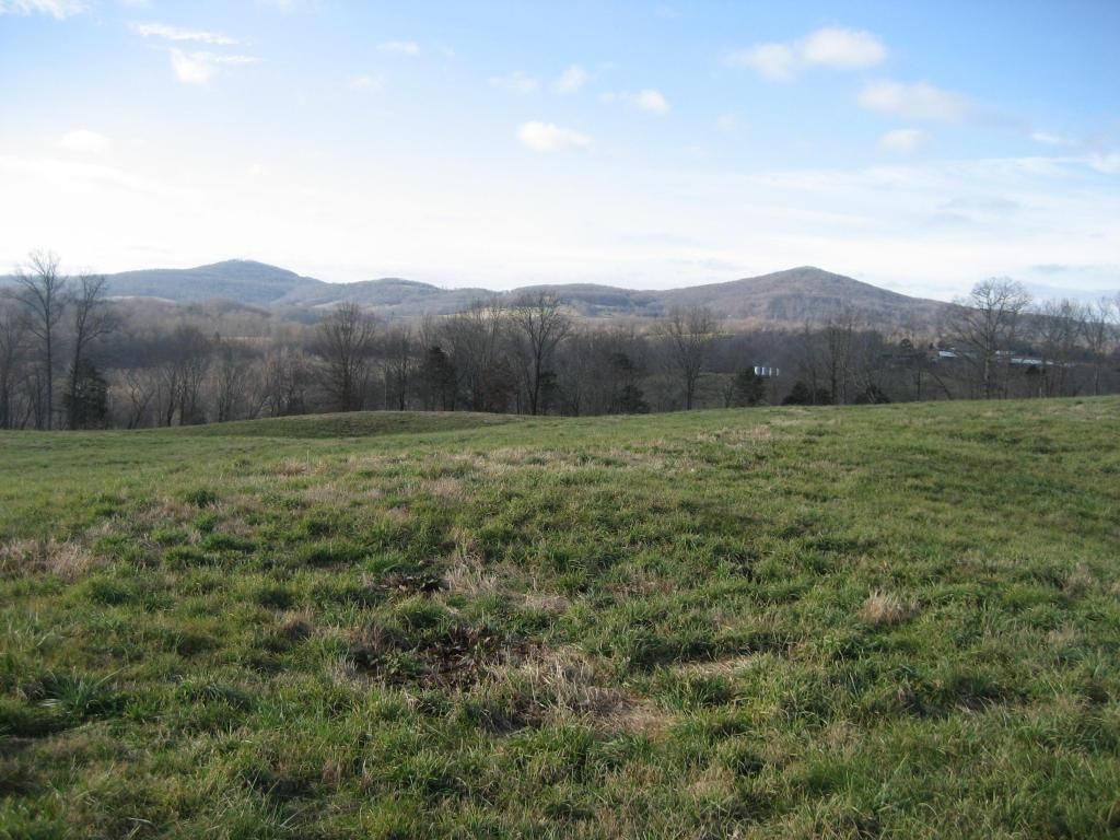 15 Acres, 15 Acres On Begley Branch Road, Pall Mall, TN 38577 Land