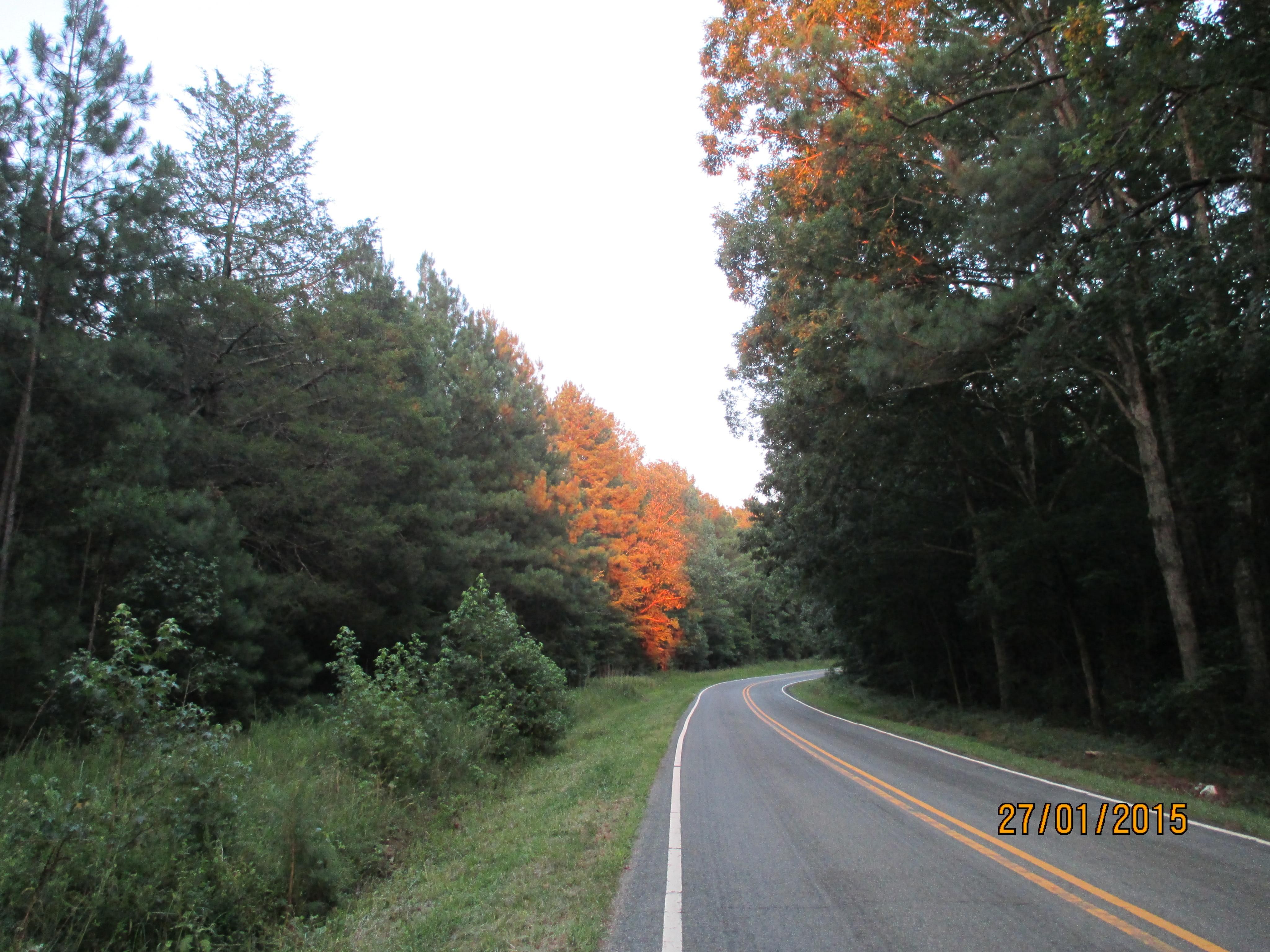 85 Acres, Old Weaver Trail, Wake Forest, NC 27587 Land and Farm