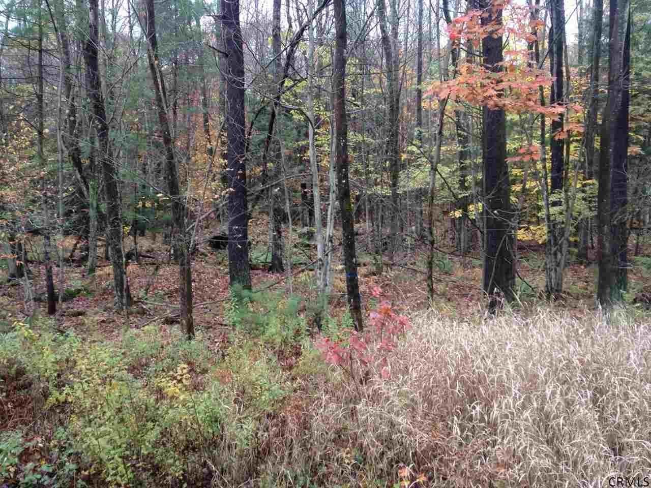 4 Acres, 00 TENNANTVILLE RD, Northampton, NY 12134 Land and Farm