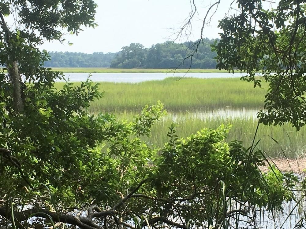 1.2 Acres, 0 West Branch Road, Ridgeland, SC 29936 Land and Farm