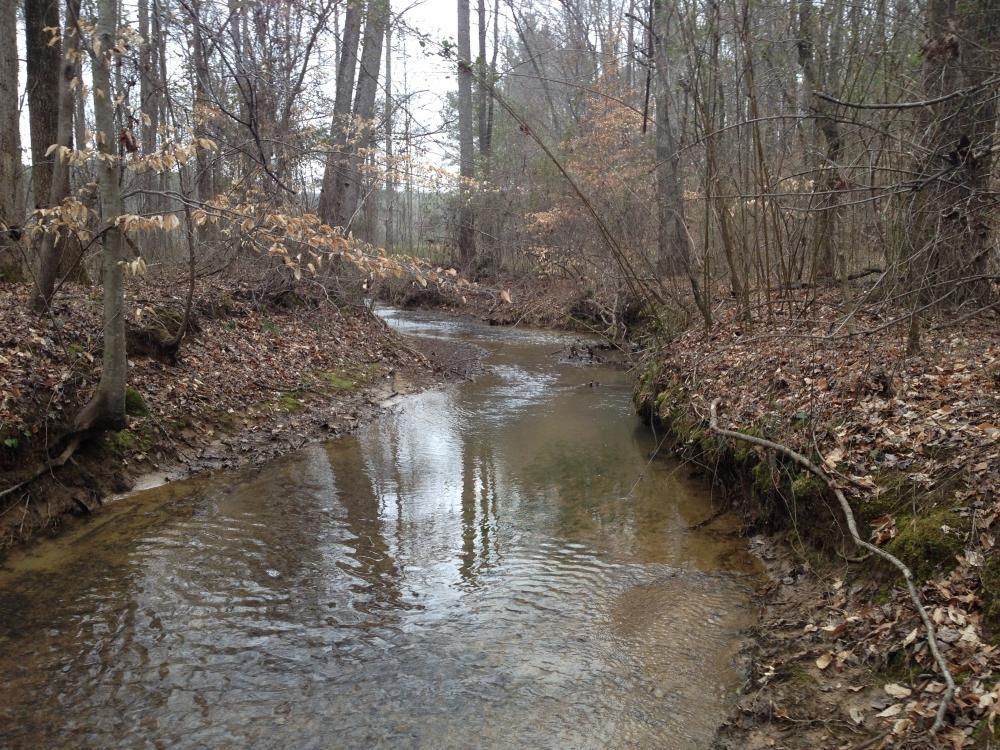 30 Acres, 691 Amsterdam Hill Rd, Green Pond, AL 35074 Land and Farm