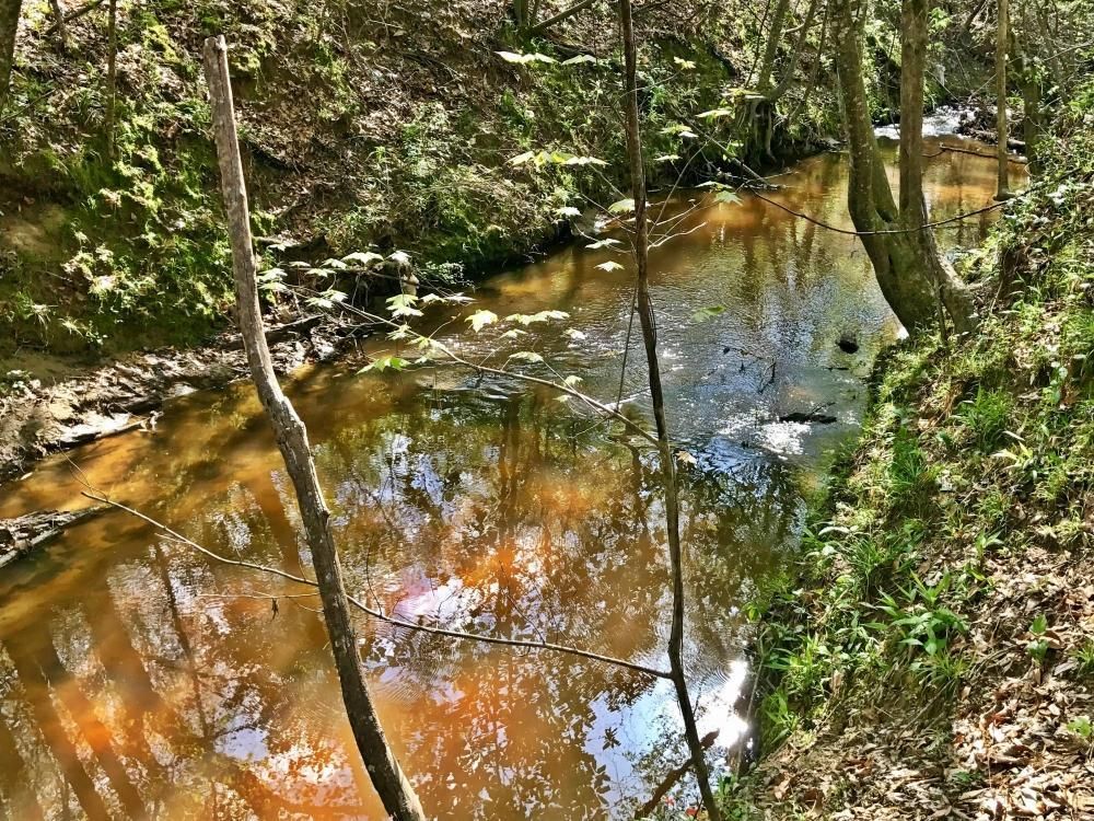 0 Clayhill Road, Dixons Mills, AL 36736 Land and Farm