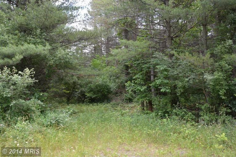 2 Acres, LOT 3 ROBINSONVILLE ROAD, Breezewood, PA 15533 Land and Farm