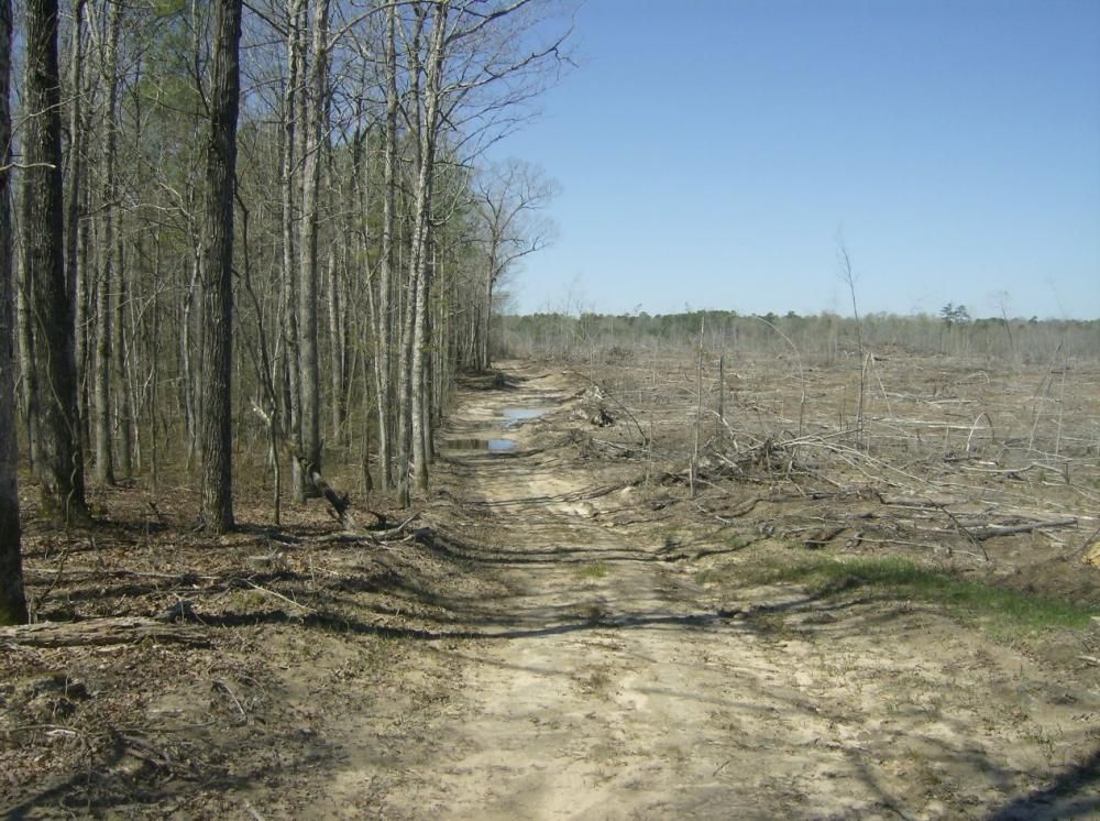 100 Acres, Little Rock, AR 72217 Land and Farm