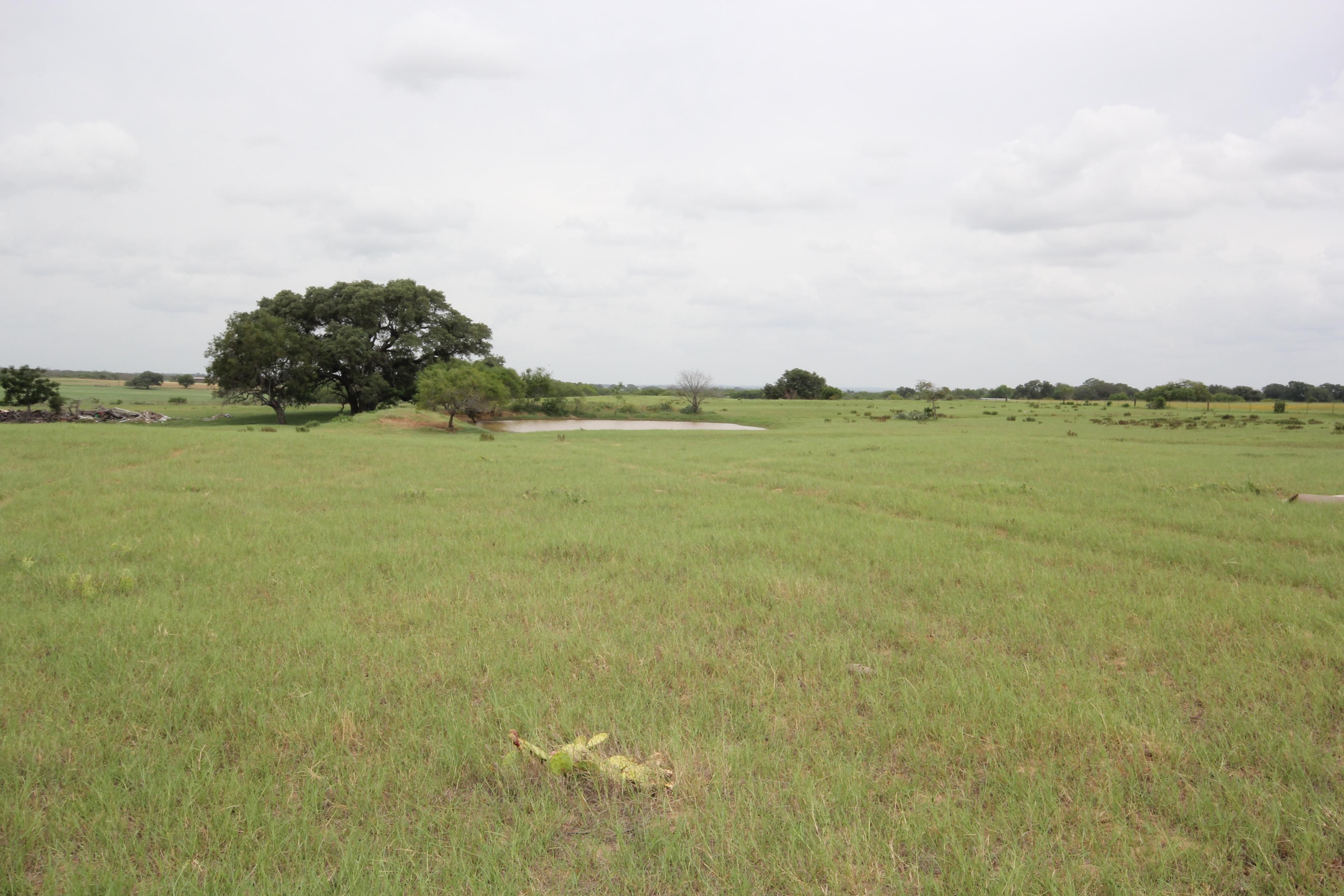 20 Acres, 20 Ac HWY 97W, Floresville, TX 78114 Land and Farm
