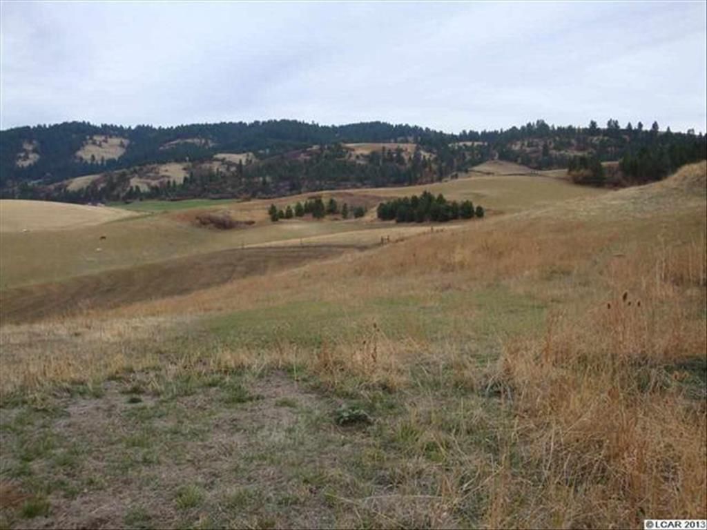 3 Acres, 29764 Raven Dr., Culdesac, ID 83524 Land and Farm