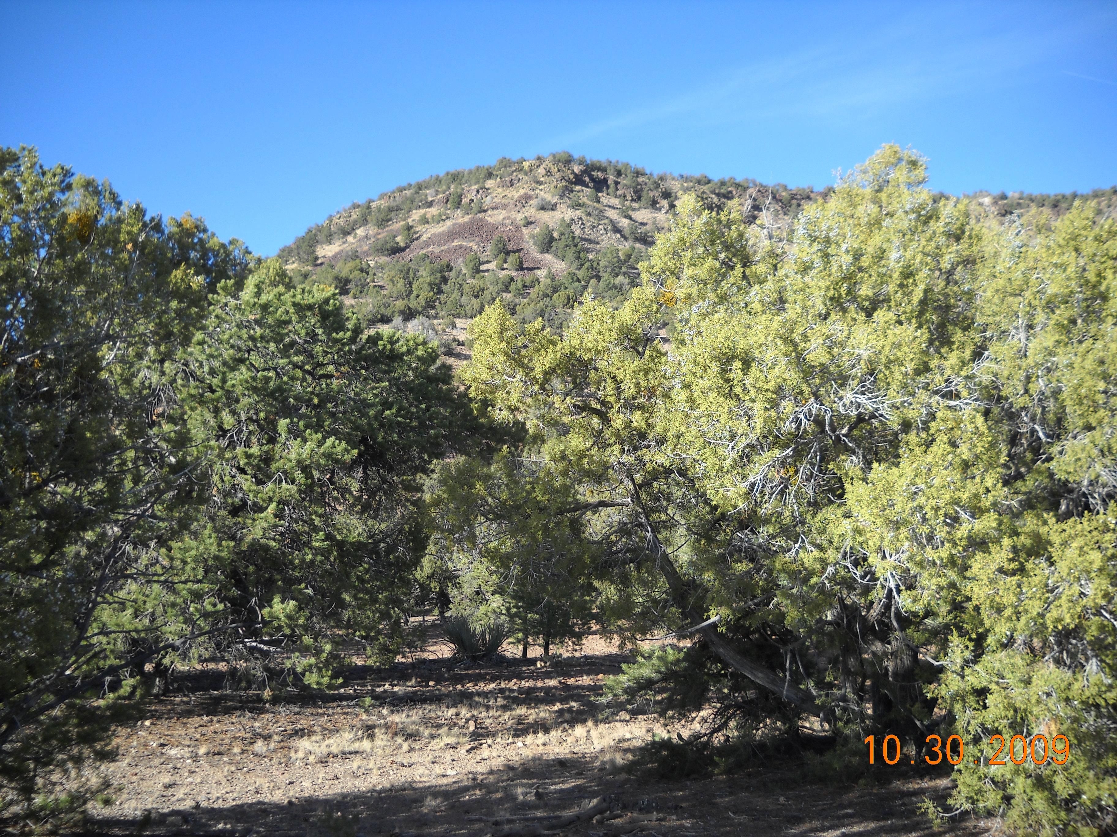 no address, Seligman, AZ 86337 Land and Farm