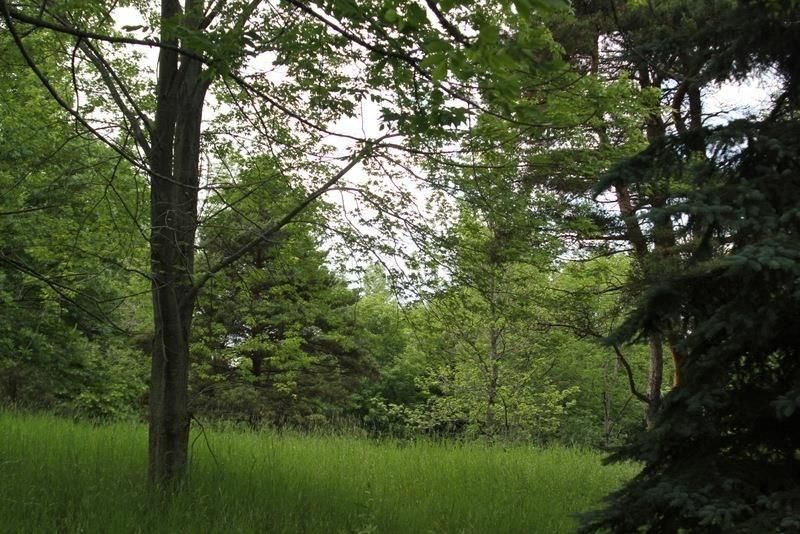 15 Acres, . Memory Lane, Elberta, MI 49625 Land and Farm