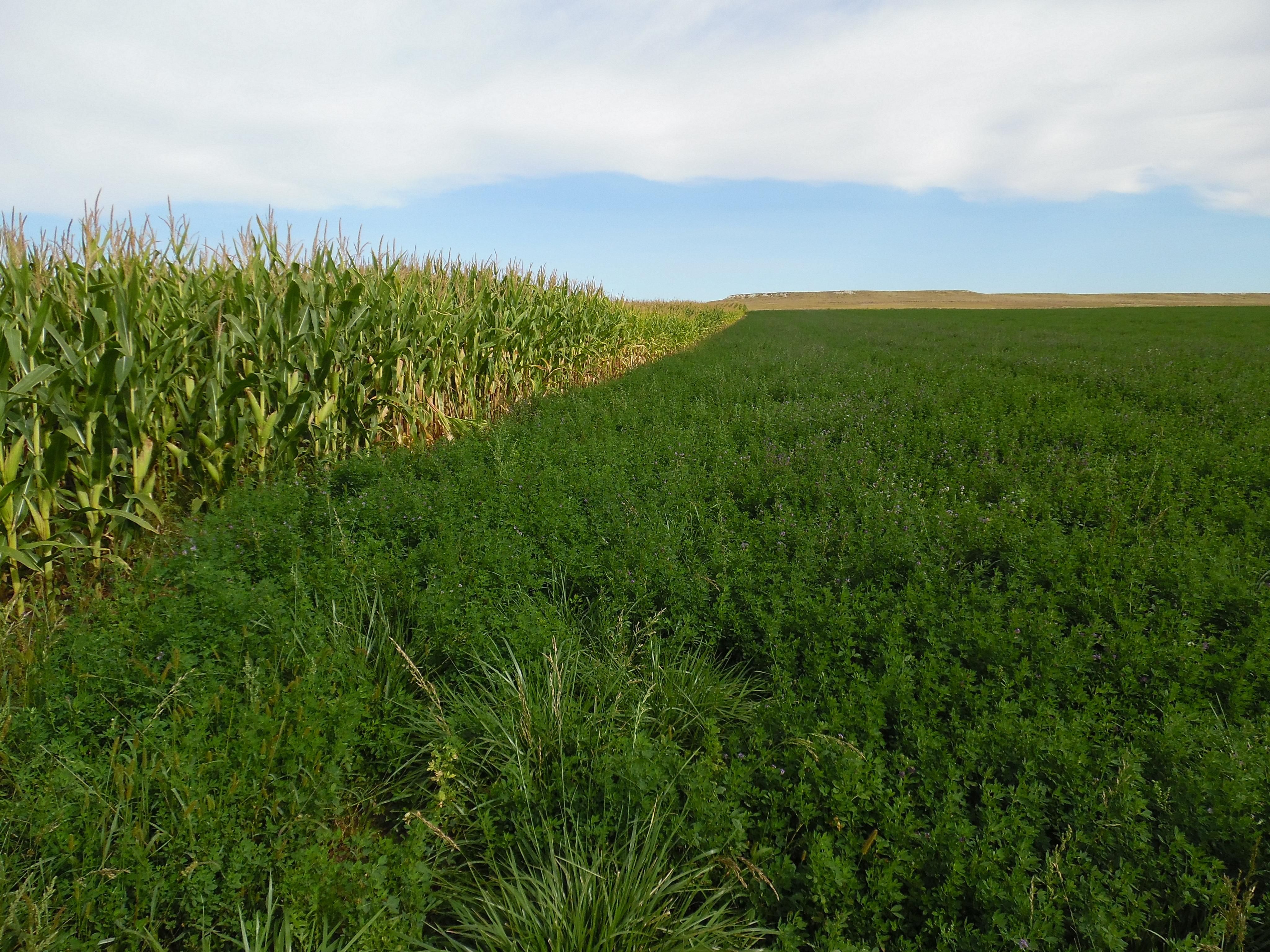 Highway 158, Torrington, WY 82240 Land and Farm