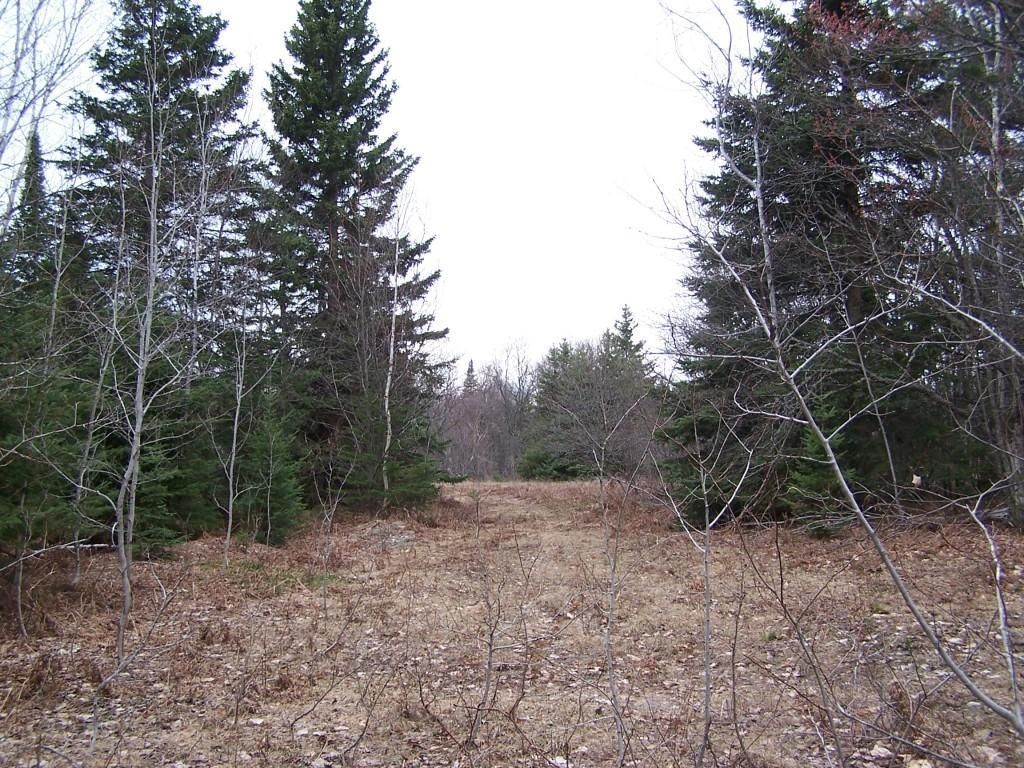 9.99 Acres, 000 DINKEY LINE RD, Rexton, MI 49762 Land and Farm