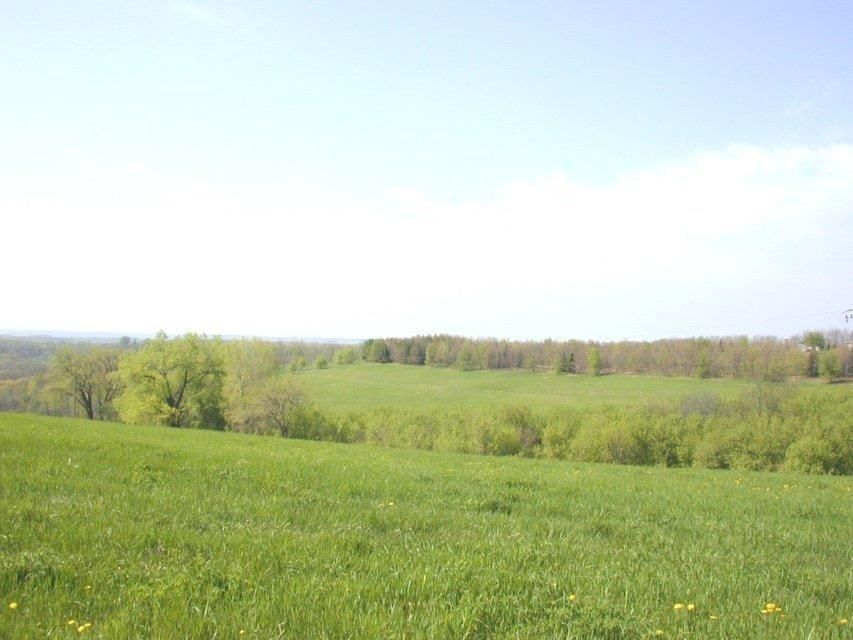 40 Acres, 0 Happy Valley Ln, Wauzeka, WI 53826 Land and Farm