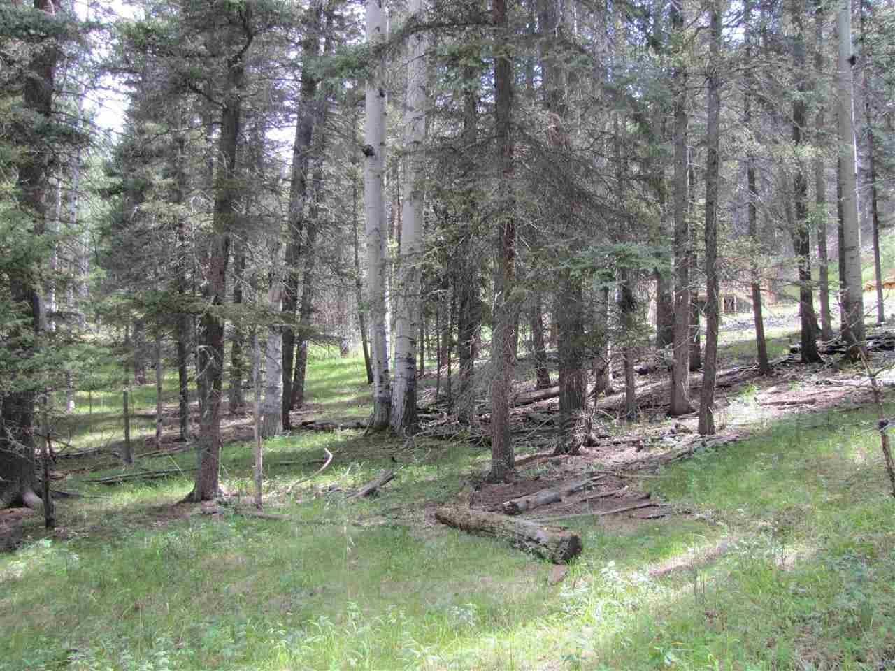 1.25 Acres, 119 W & 77 E Pecos Canyon Estate Road, Cowles, NM 87573