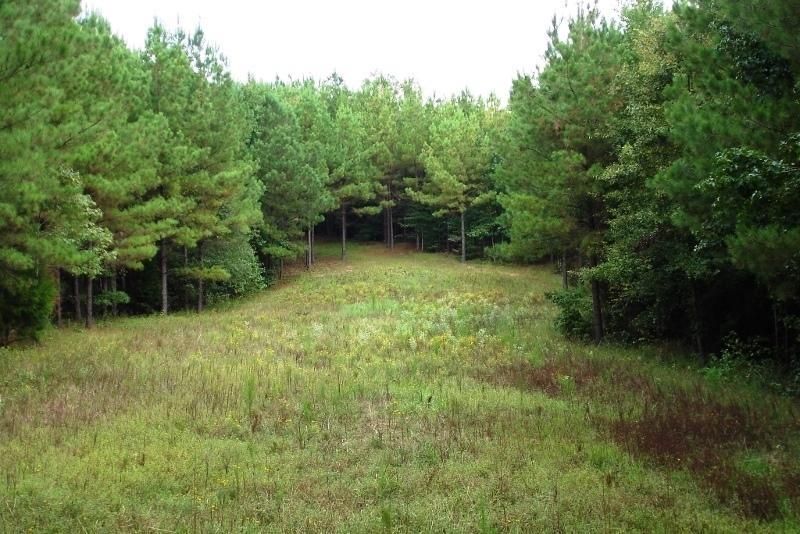 95 Acres, 0 HWY 17 S, York, AL 36925 Land and Farm