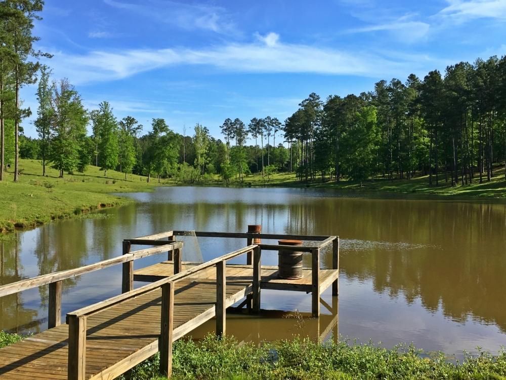 30 Acres, Highway 17, Silas, AL 36919 Land and Farm