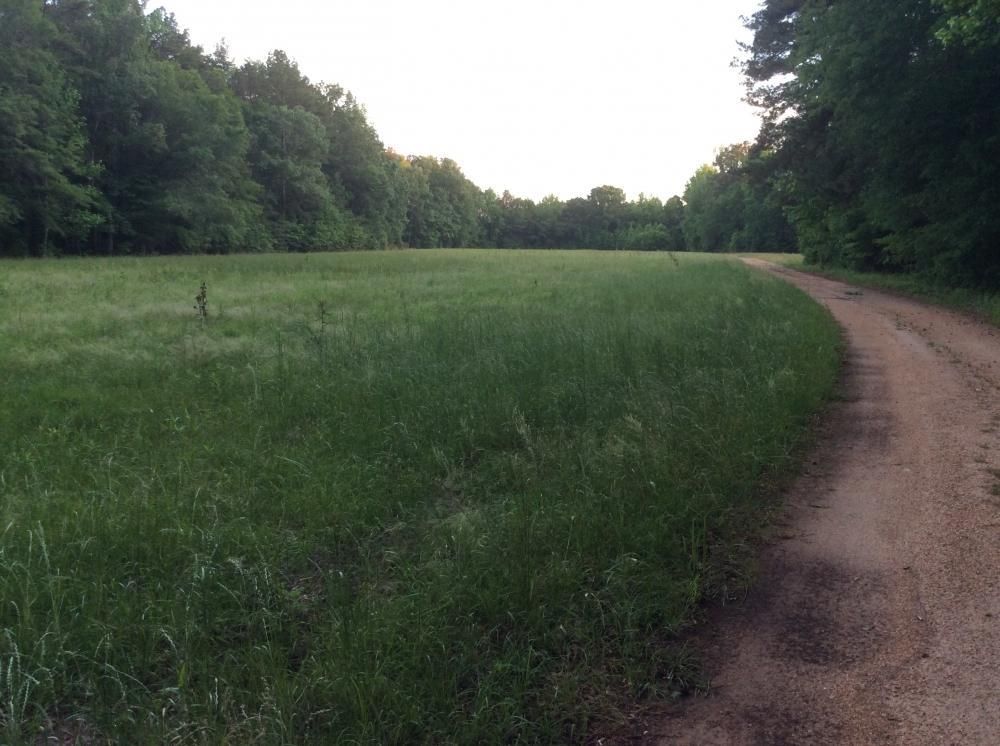 Moncure Road, Terry, MS 39170 Land and Farm